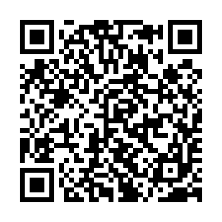 QR code for ASS597