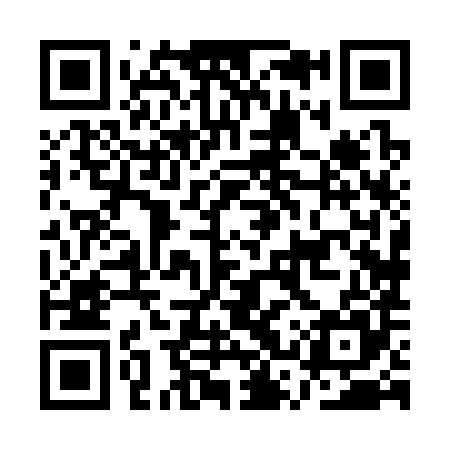 QR code for ASX385