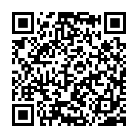 QR code for AUR333