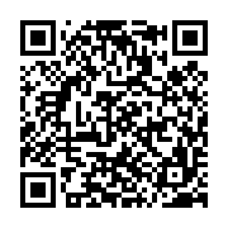 QR code for AVE496