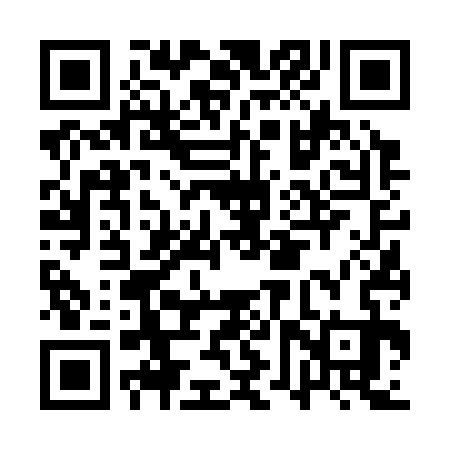 QR code for AVV333