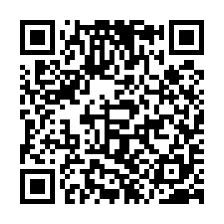 QR code for AYG595
