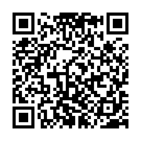 QR code for AYO990