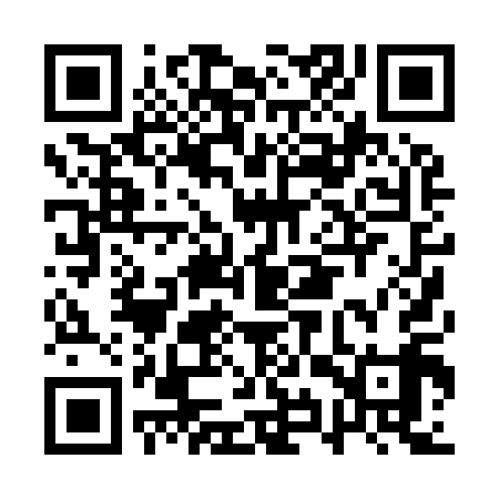 QR code for AYP919