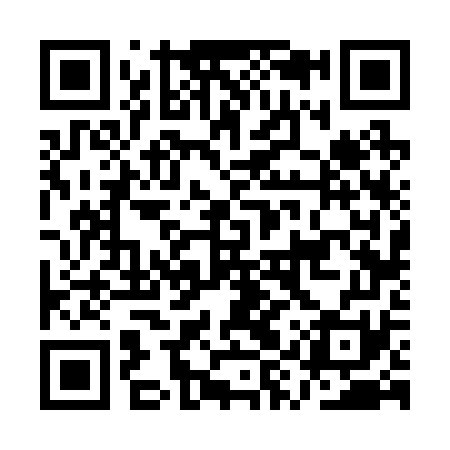 QR code for AYV271