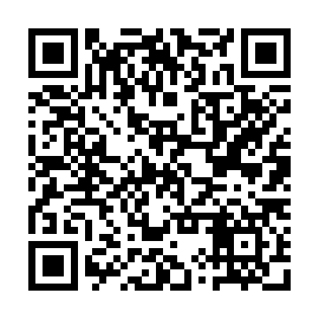 QR code for AYV387