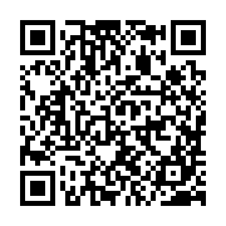QR code for AYZ384