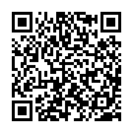 QR code for AZP295
