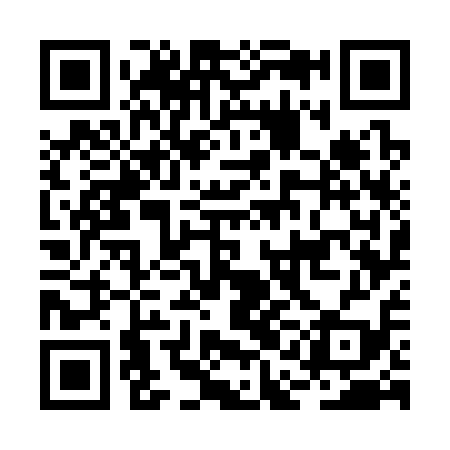 QR code for BAG319