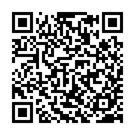 QR code for BAS385