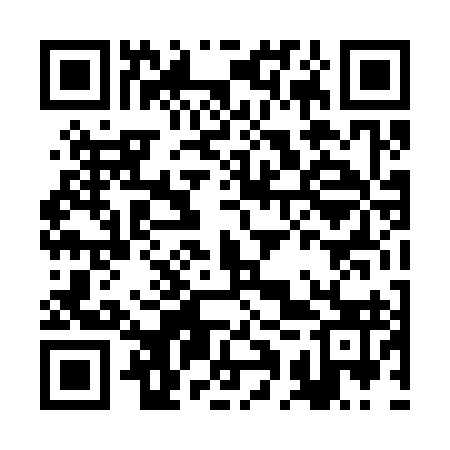 QR code for BAT393