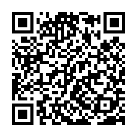 QR code for BBM489