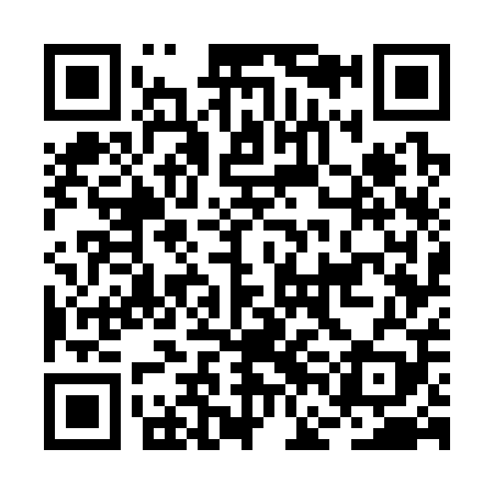 QR code for BFG309