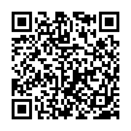 QR code for BFI313