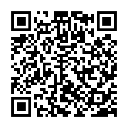 QR code for BFN538
