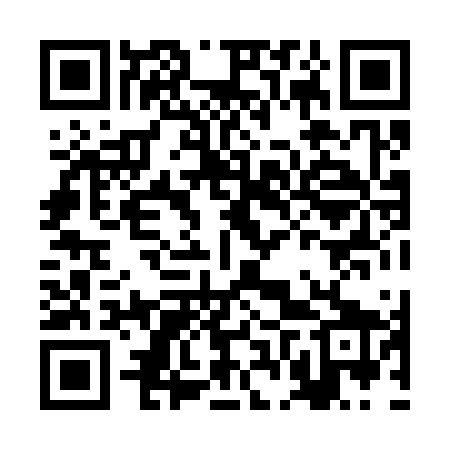 QR code for BFX369
