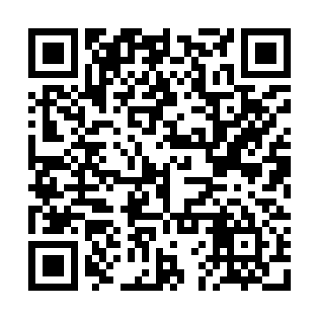 QR code for BFX935