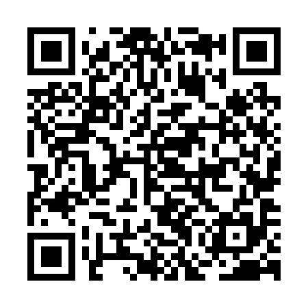 QR code for BGN295