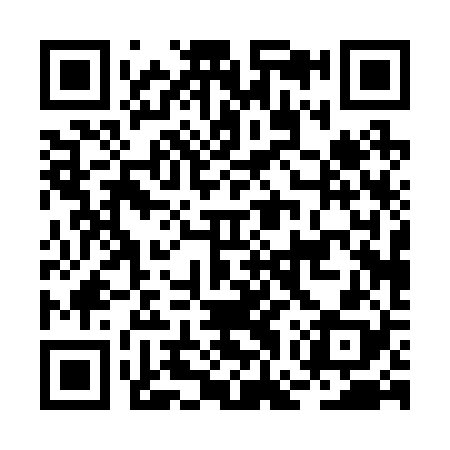 QR code for BGP228