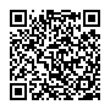QR code for BIA655