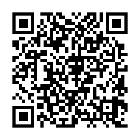 QR code for BIE389