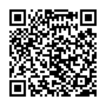 QR code for BIG699