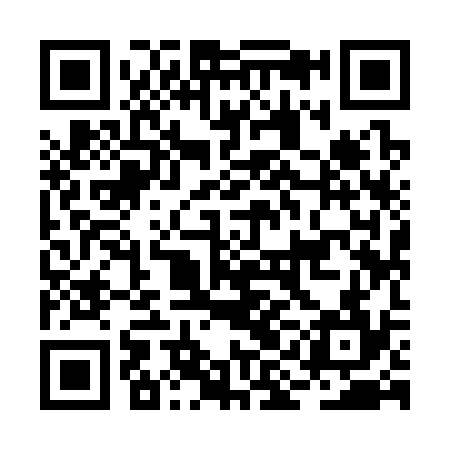 QR code for BII334