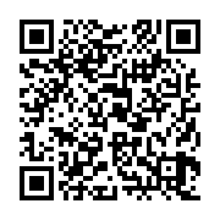 QR code for BIR029