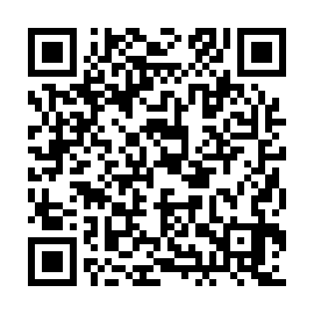 QR code for BIR133