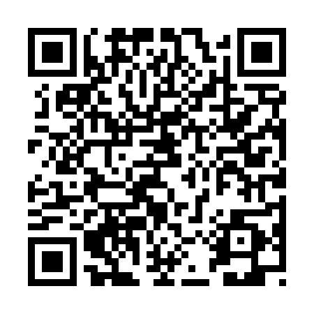 QR code for BIT480