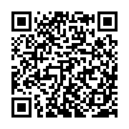 QR code for BIX380