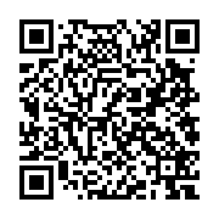 QR code for BJV029