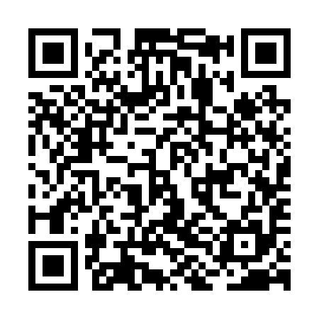 QR code for BLC295