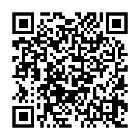 QR code for BLO938