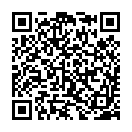 QR code for BLR493