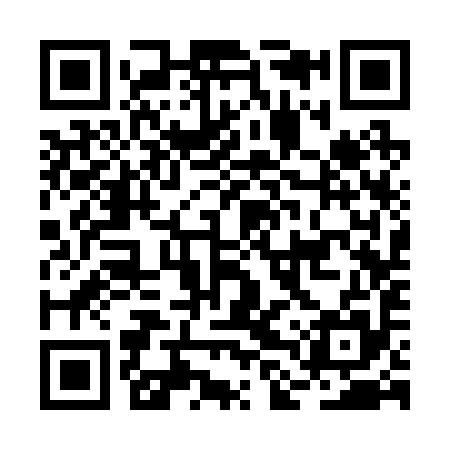 QR code for BLS295