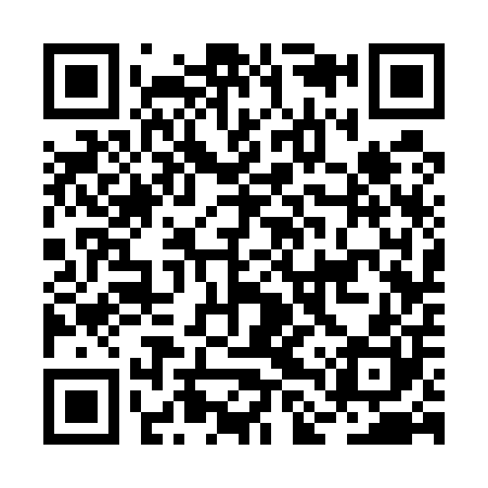 QR code for BLS500