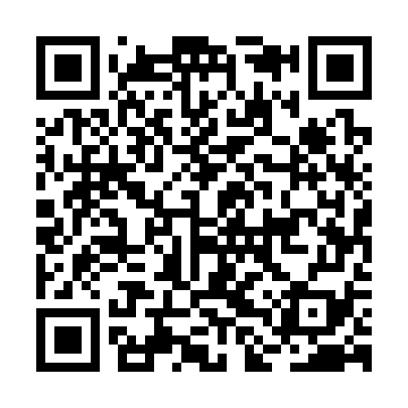 QR code for BLU379