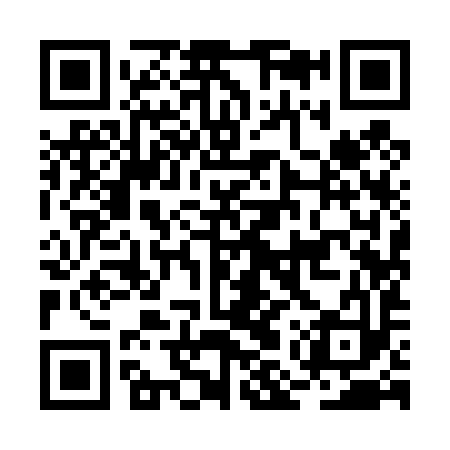 QR code for BMY493