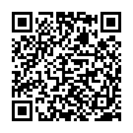 QR code for BNI593