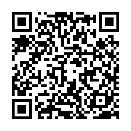 QR code for BOR221
