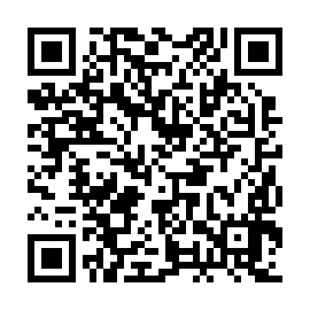 QR code for BOR297