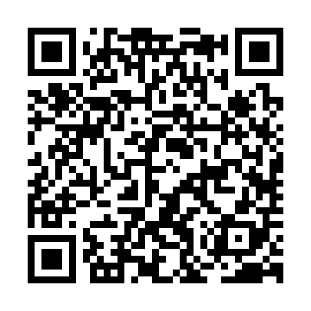 QR code for BOR308