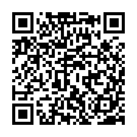 QR code for BOY950
