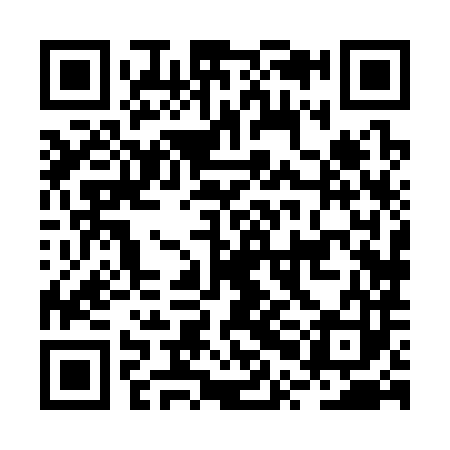 QR code for BPH383