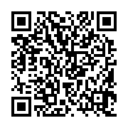 QR code for BPM384
