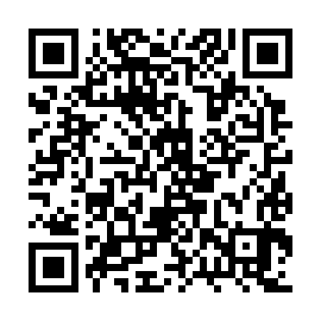 QR code for BPV383
