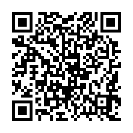 QR code for BPY393