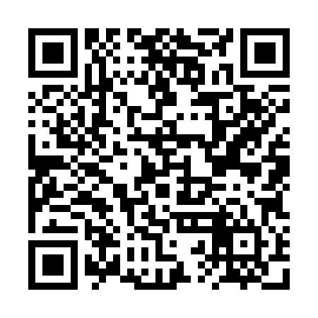 QR code for BRO384