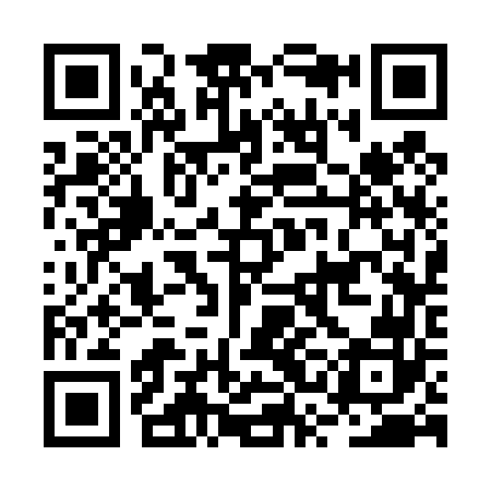 QR code for BSC462